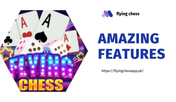 Features of Flying Chess